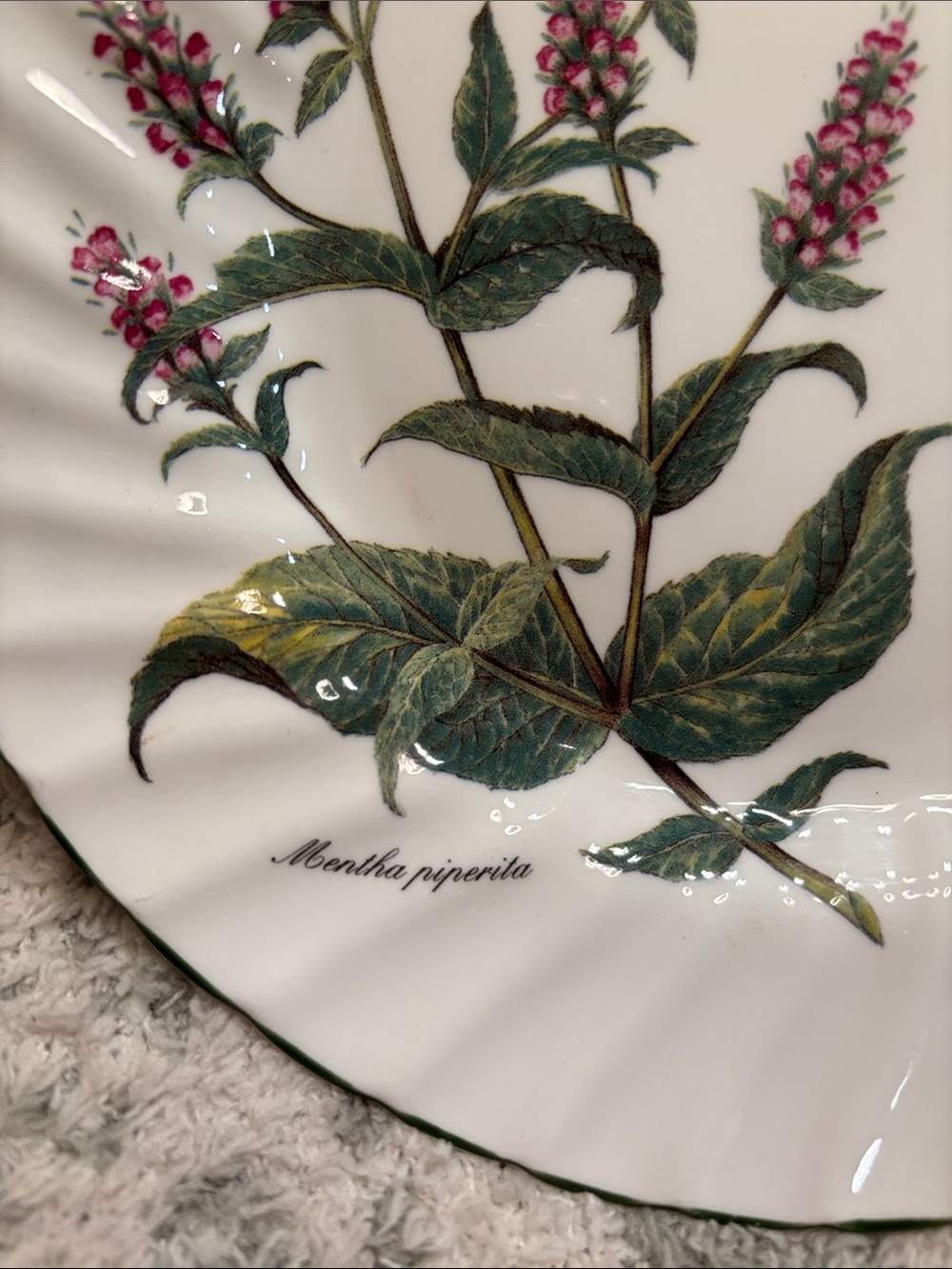 Royal Patrician Fine Bone China Pink Botanical Serve Dish England NWT 8” - Picture 13 of 14